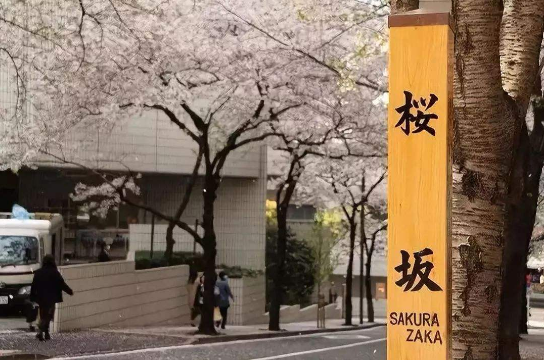 潜派旅行