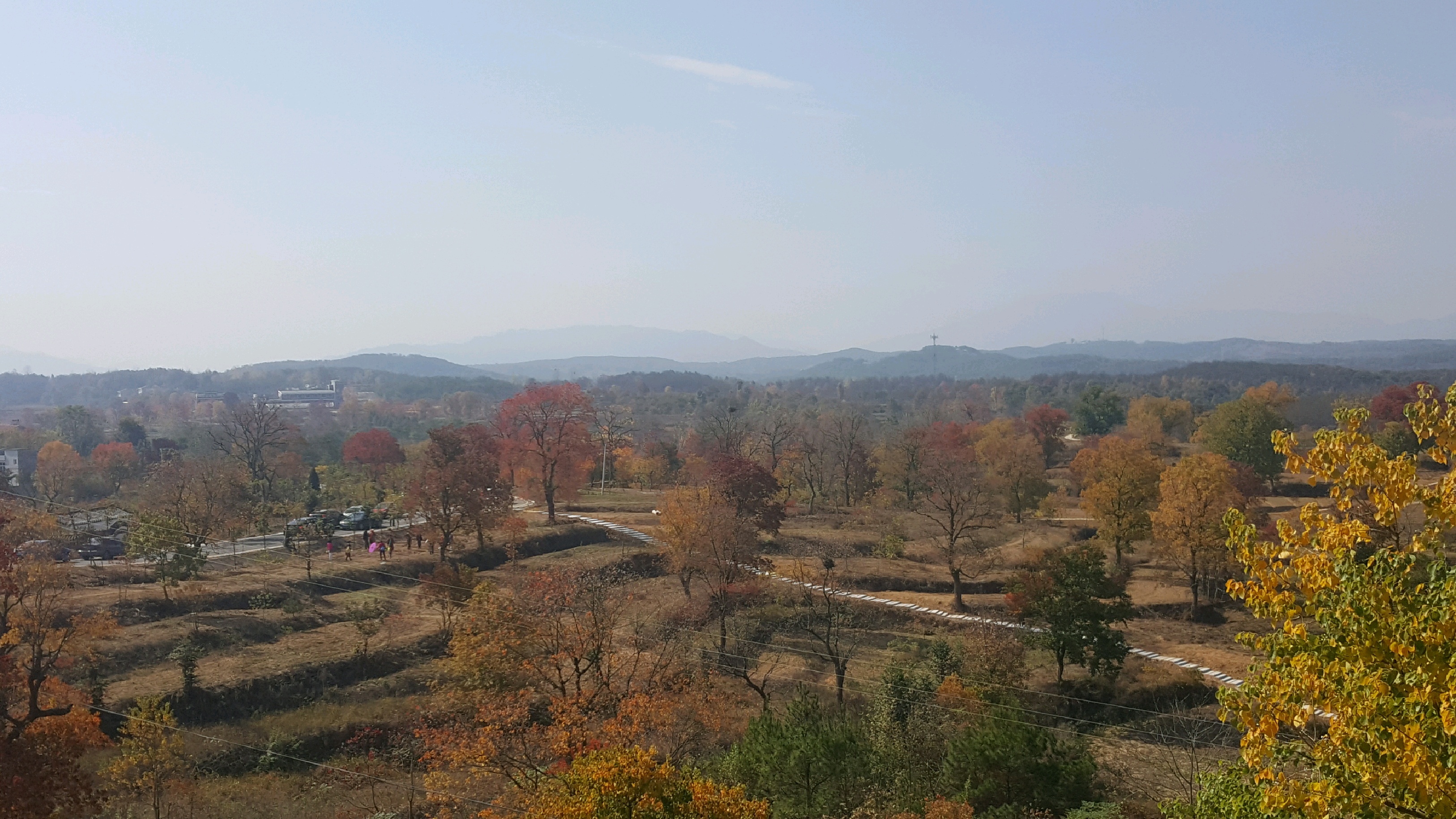 大悟县红叶景区