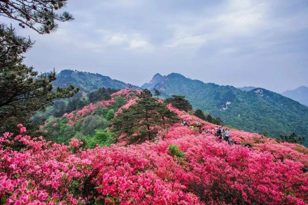 英山县天马寨风景区门票