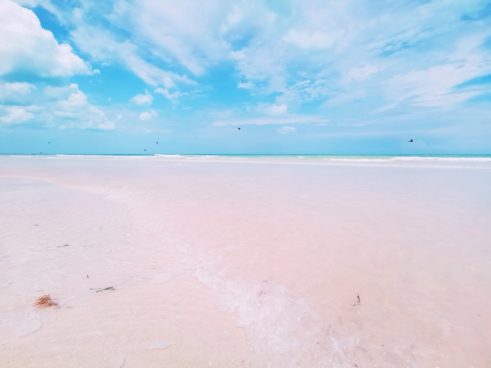 坎昆－心中的一片圣地_游记