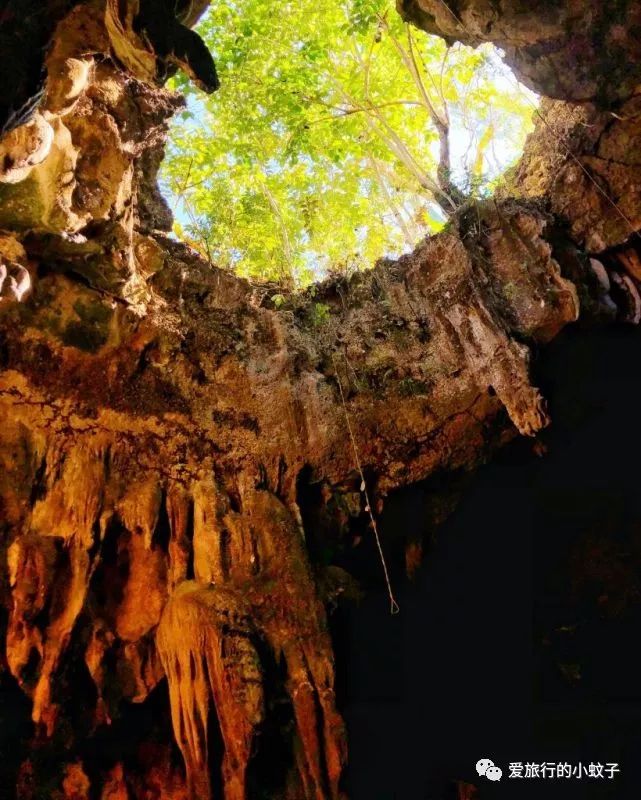 潜派旅行