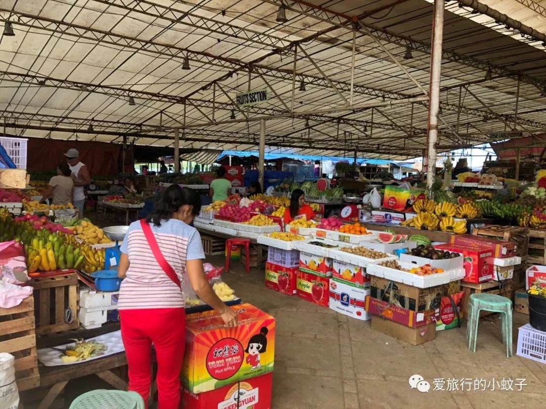 潜派旅行