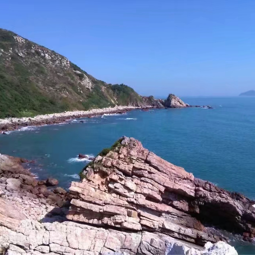 马蜂窝实