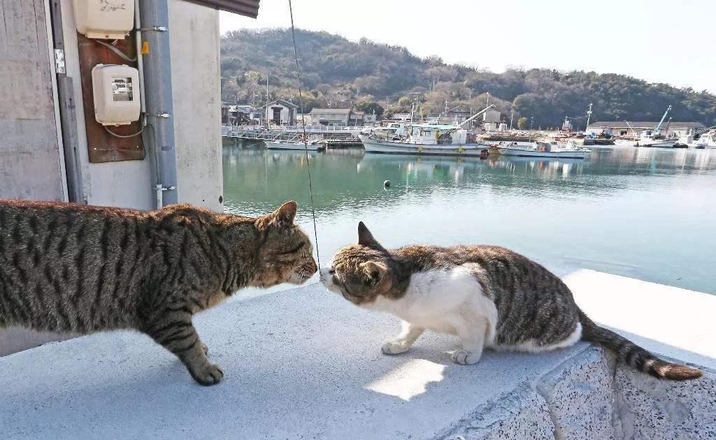 潜派旅行