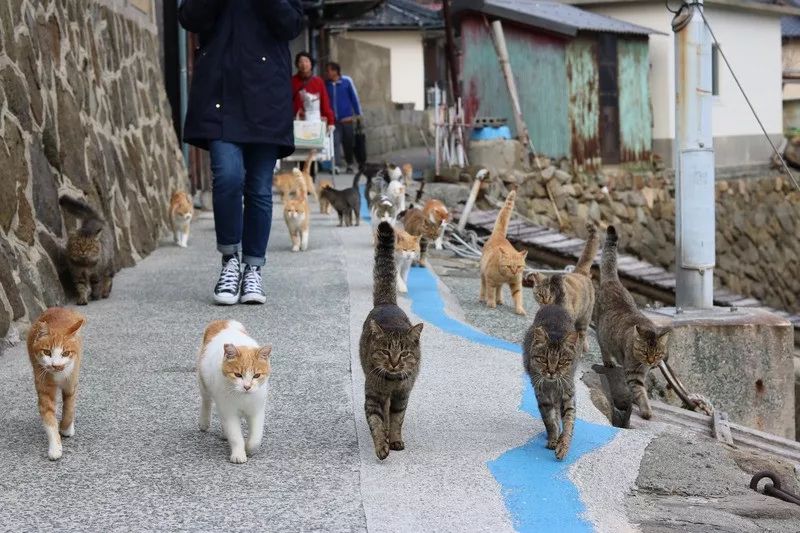 潜派旅行