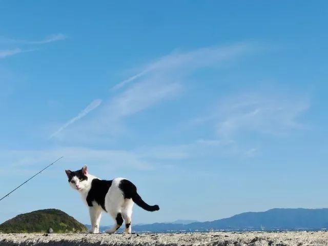 潜派旅行
