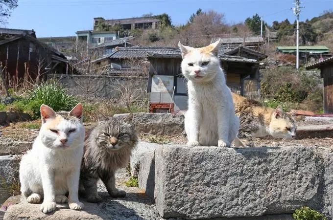 潜派旅行