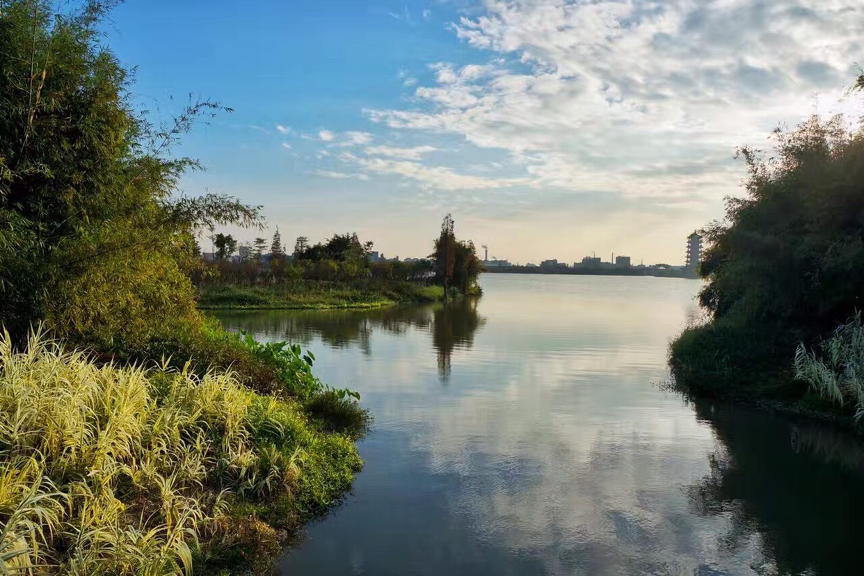 东莞华阳湖湿地公园攻略,华阳湖湿地公园门票_地址,华阳湖湿地公园