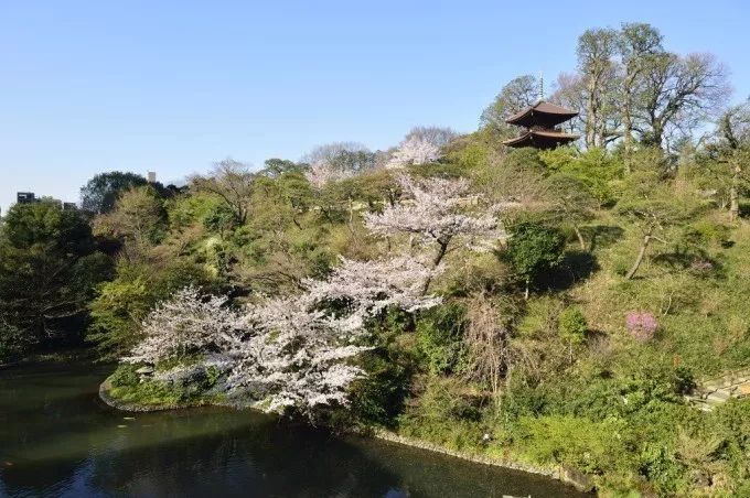 潜派旅行