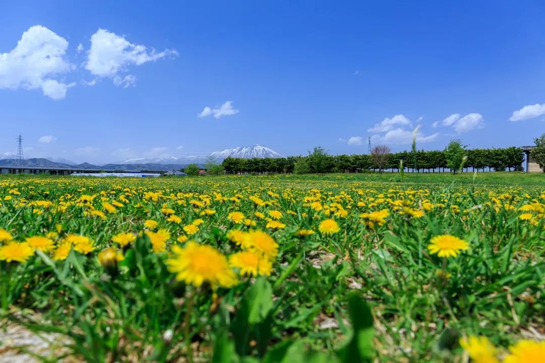 潜派旅行