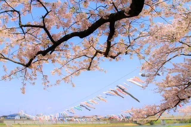 潜派旅行