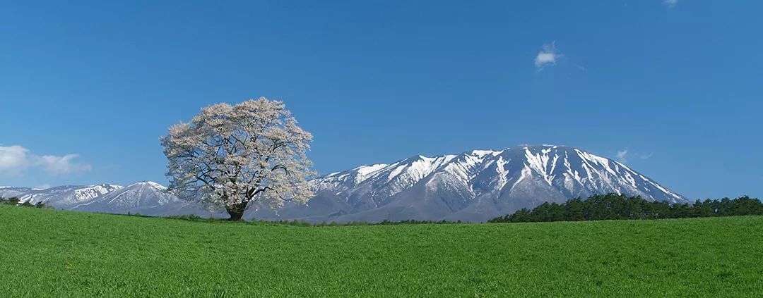 潜派旅行