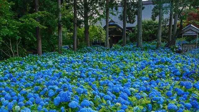 潜派旅行