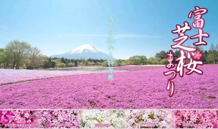 潜派旅行