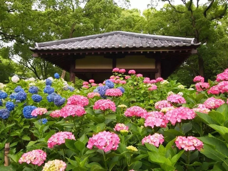 潜派旅行