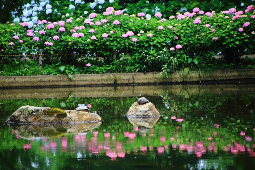 潜派旅行