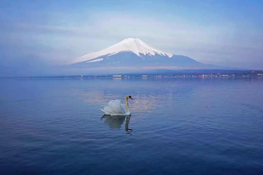 潜派旅行