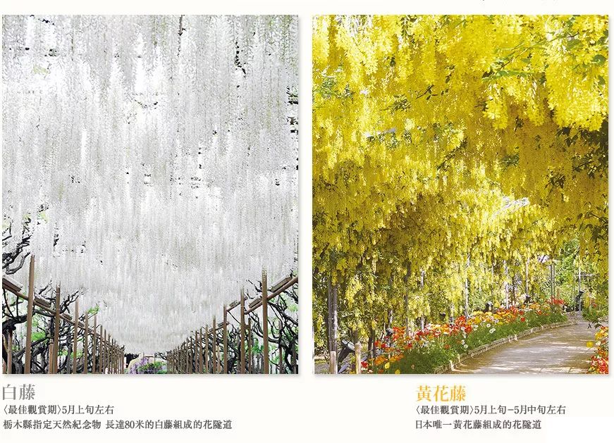 潜派旅行