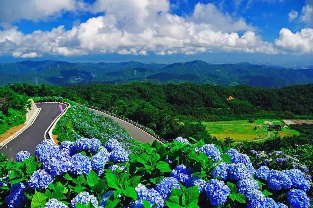 潜派旅行