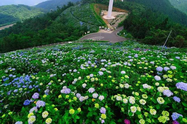潜派旅行
