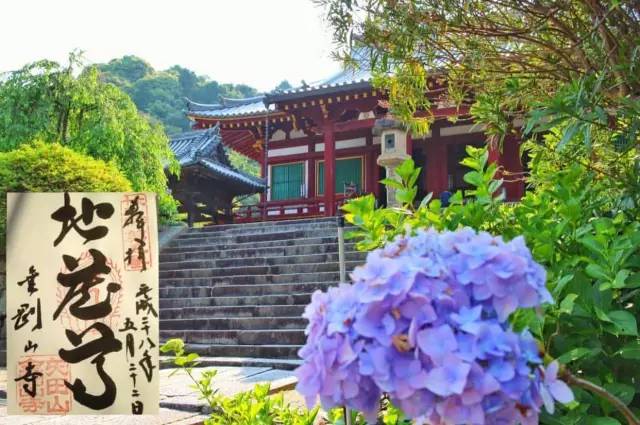 潜派旅行