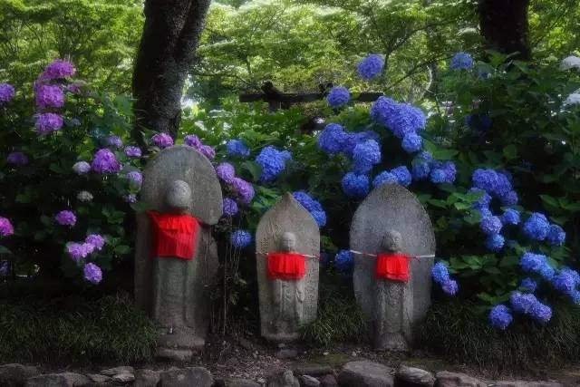 潜派旅行
