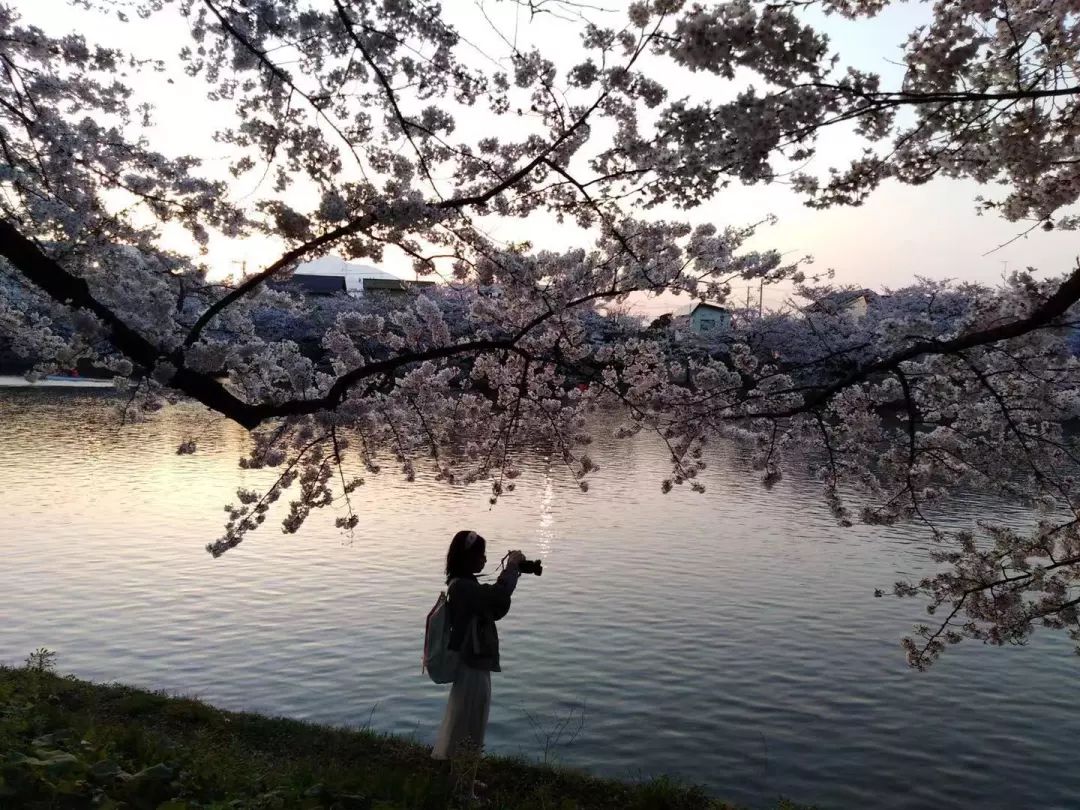 潜派旅行