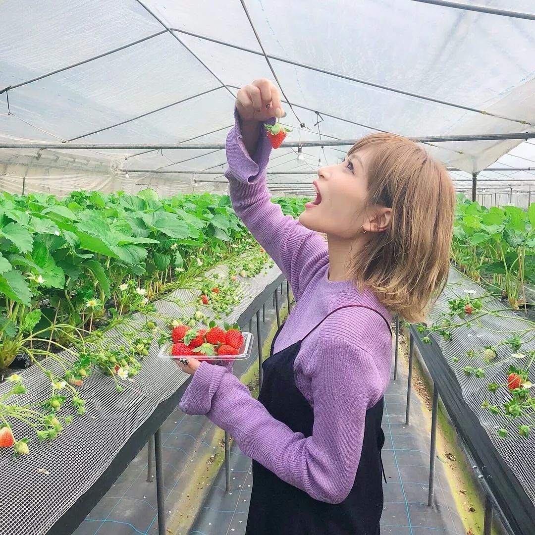潜派旅行