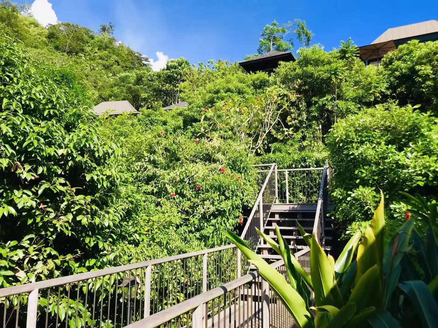 潜派旅行