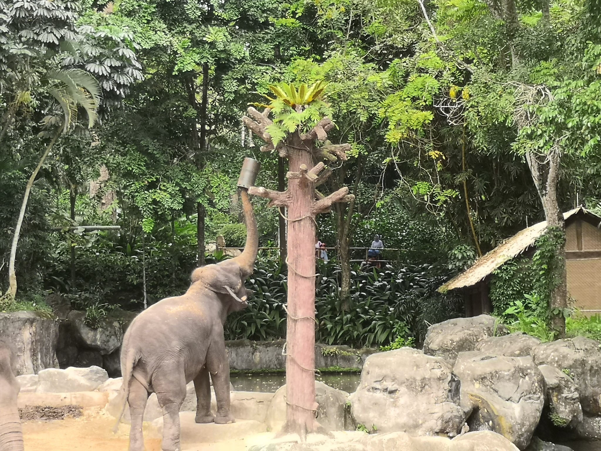 潜派旅行