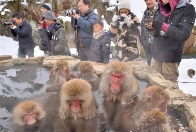 潜派旅行