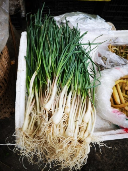 什么叫油菜苔 wKgEaVykFVaABu9dAAKOrsMeF1E15.jpeg?imageView2%2F2%2Fw%2F600%2Fh%2F600%2Fq%2F90