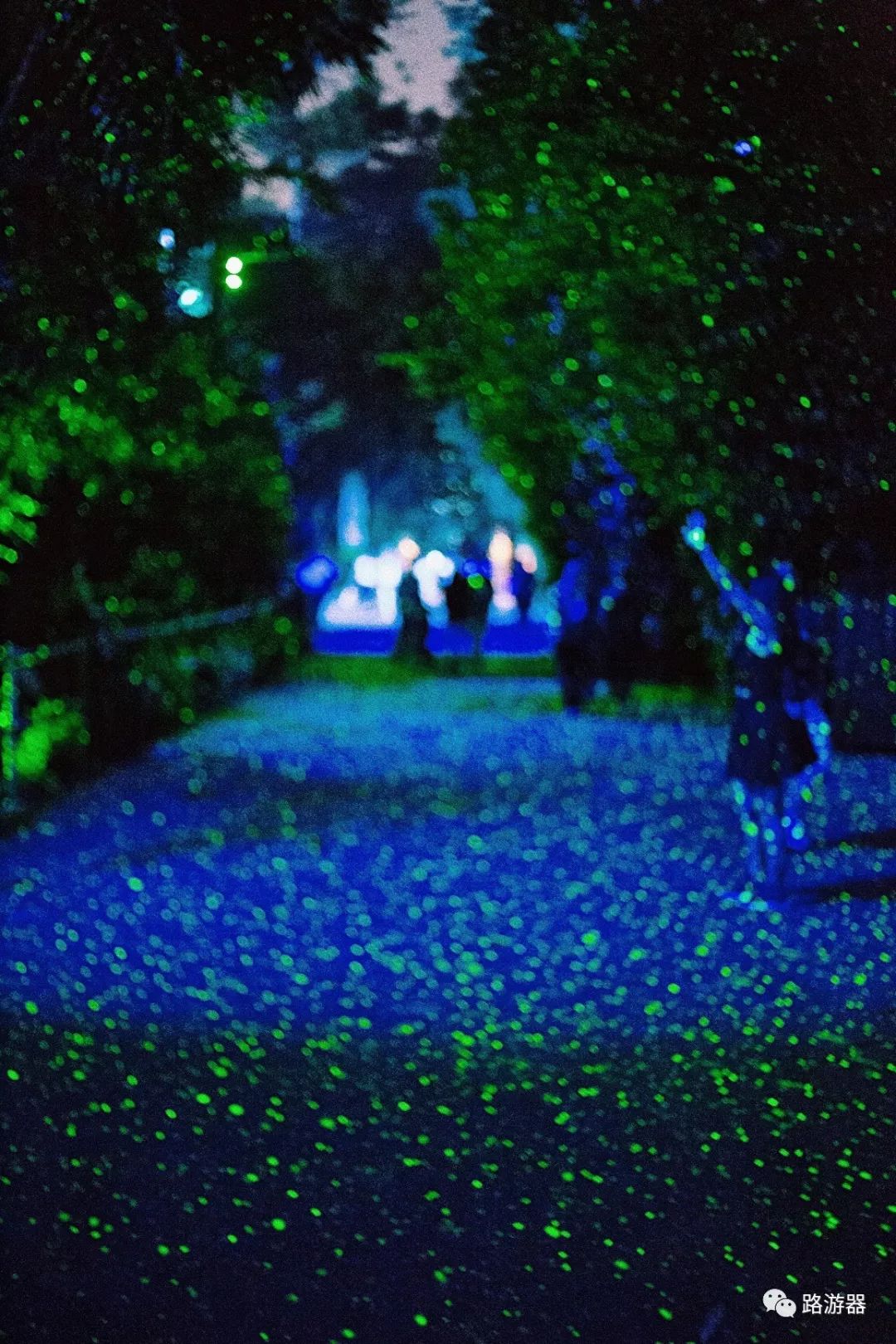 潜派旅行