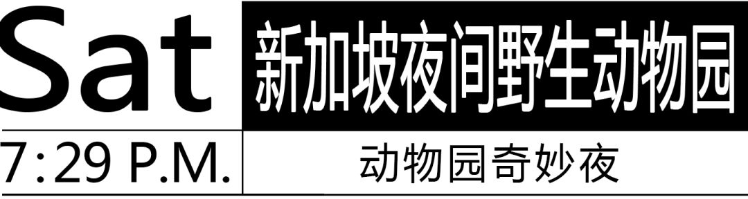 潜派旅行