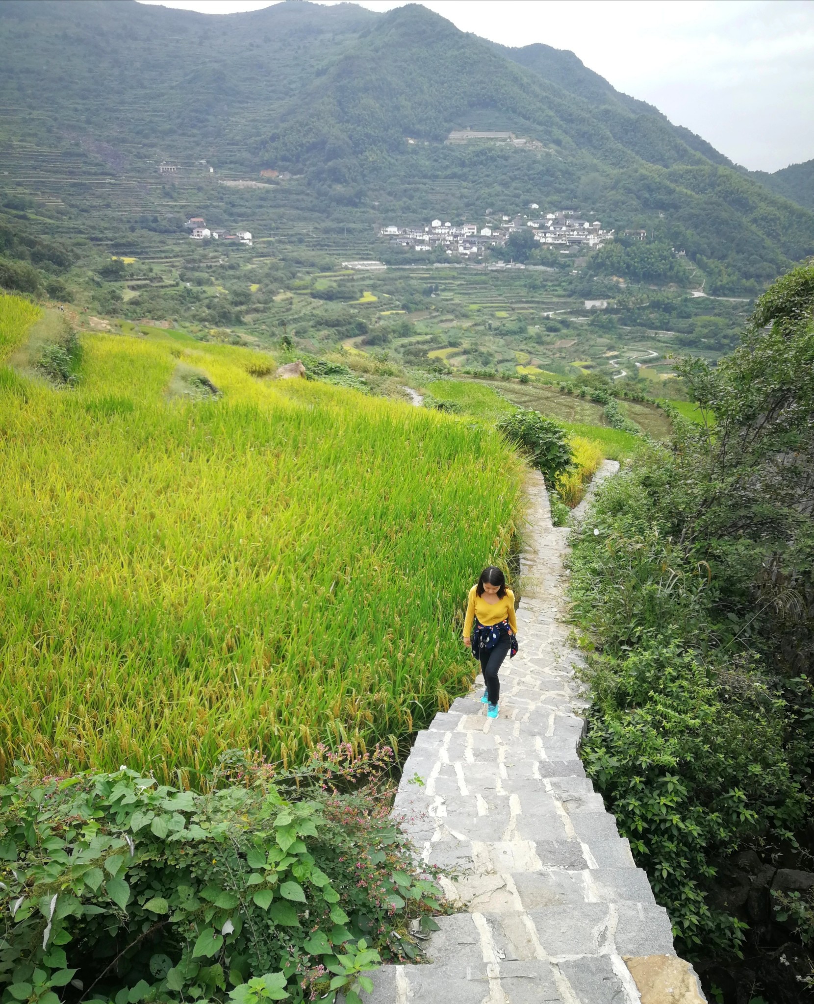 覆卮山景区         
