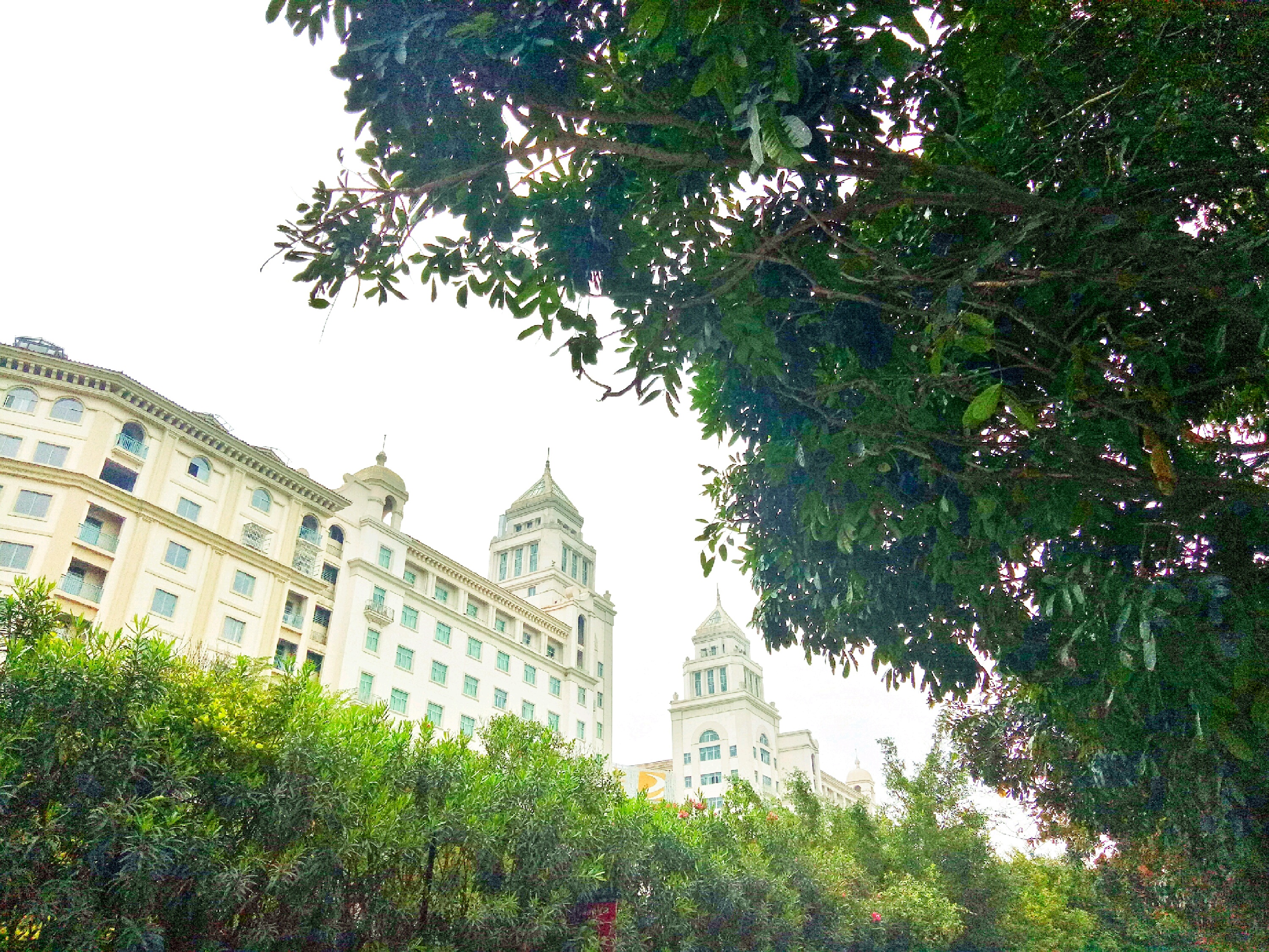 广州美食-港之湾煲仔饭