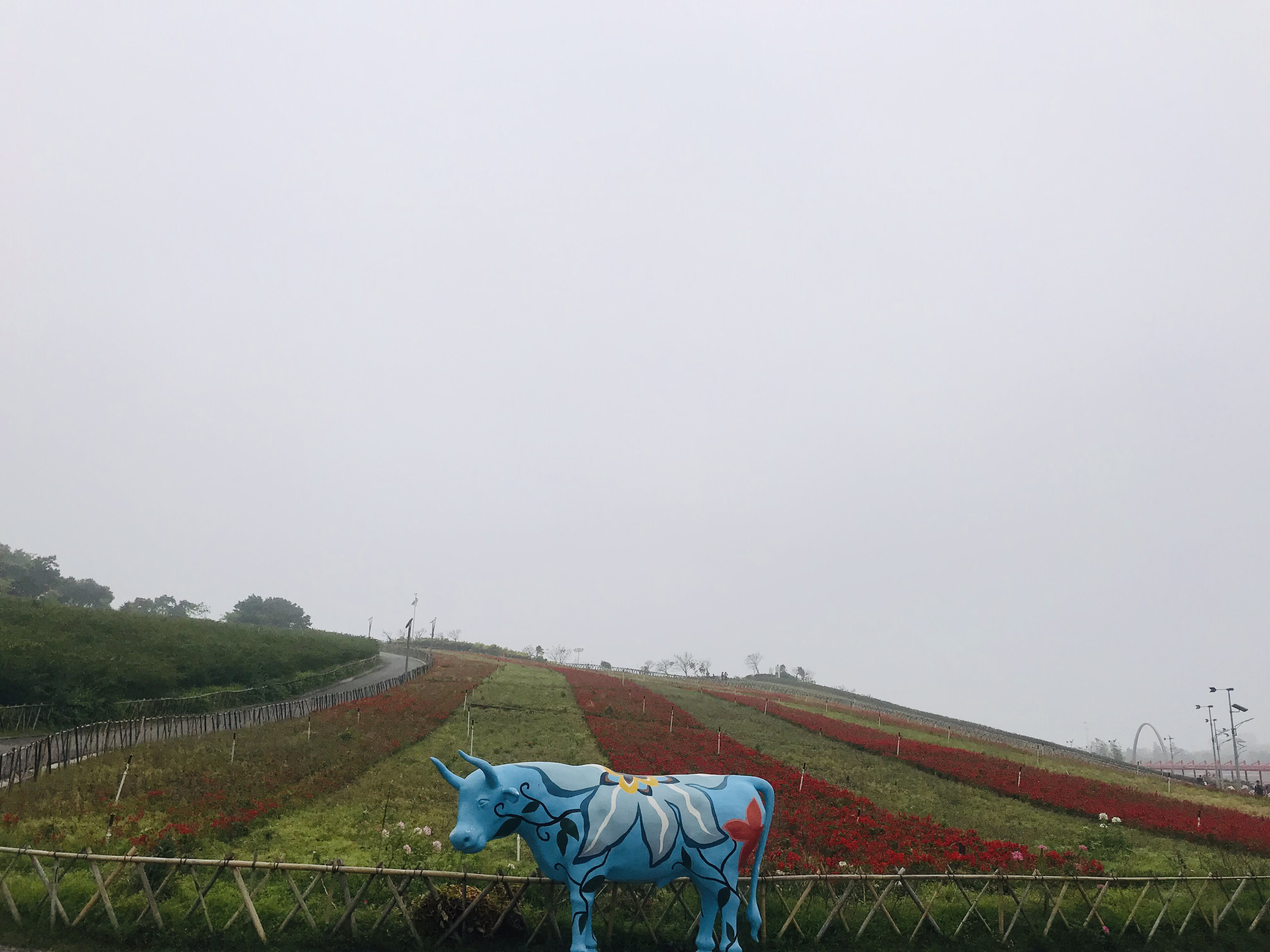 深圳美食-Ciao Lato