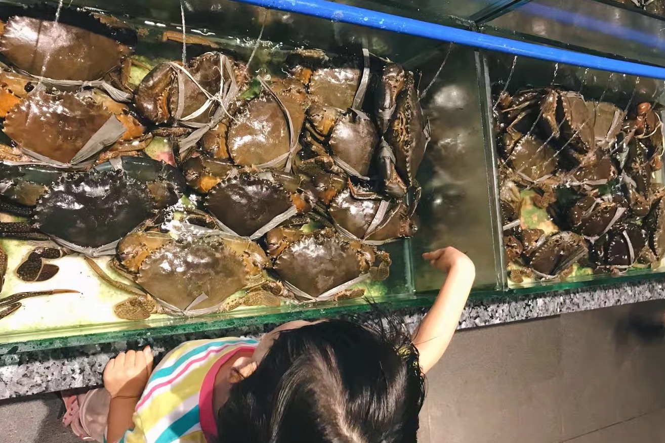 潜派旅行