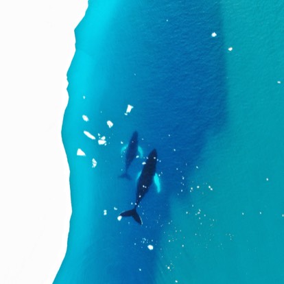 蚂蜂窝用户92862623