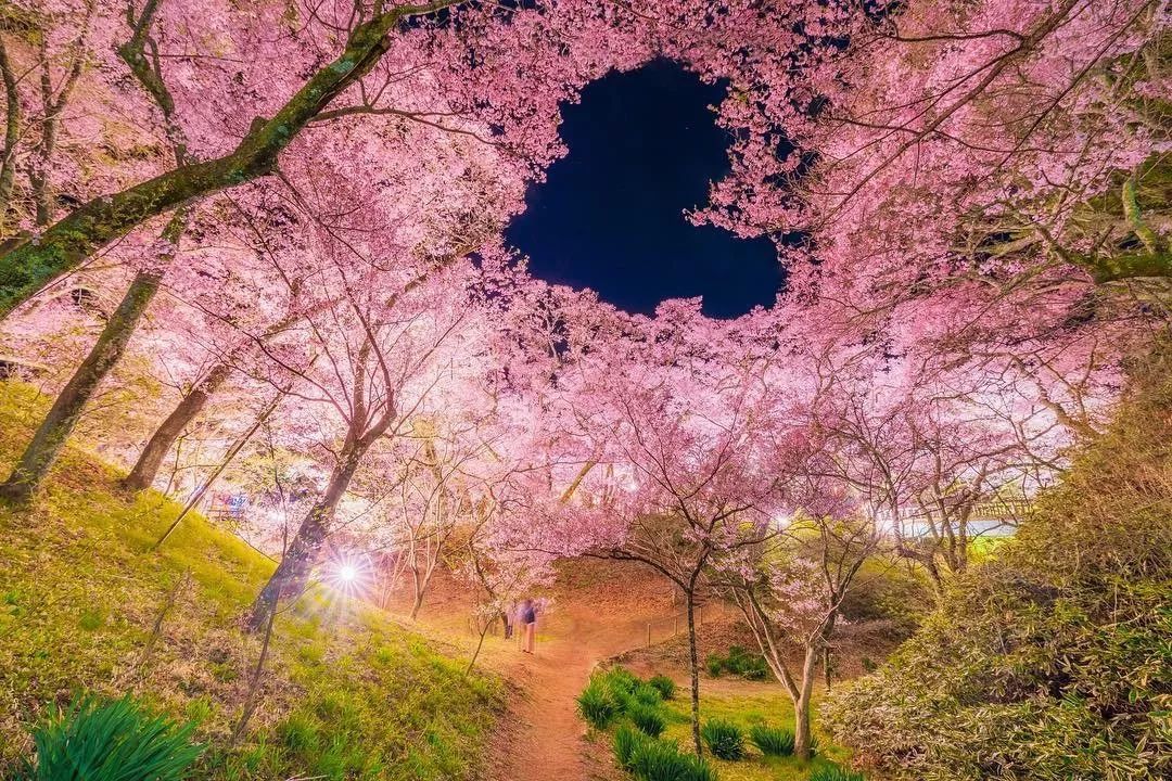 潜派旅行