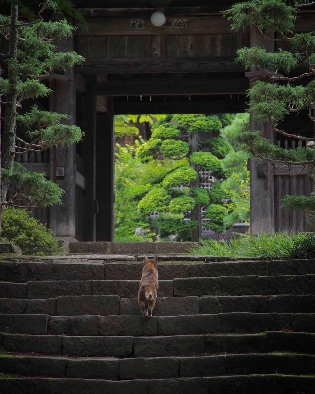 潜派旅行