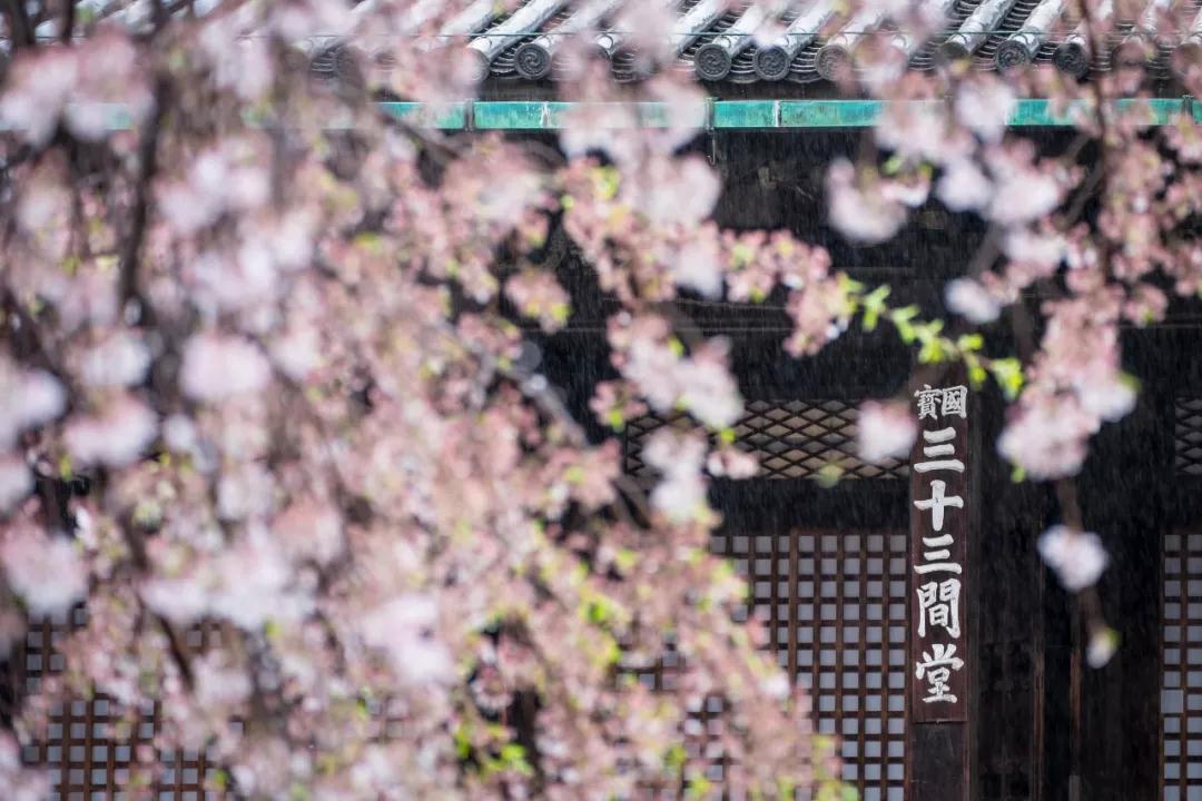 潜派旅行