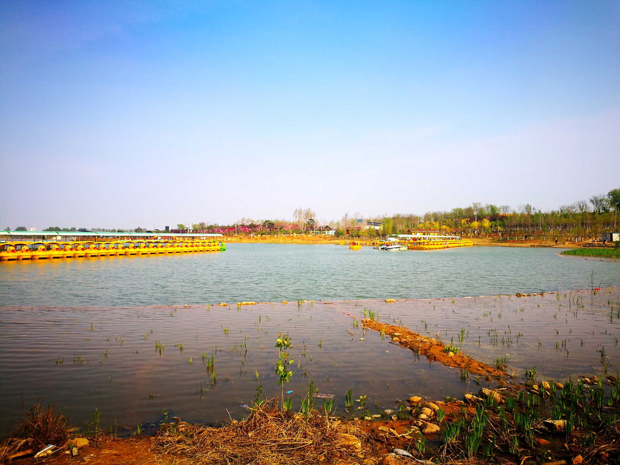 龙泉湖湿地公园