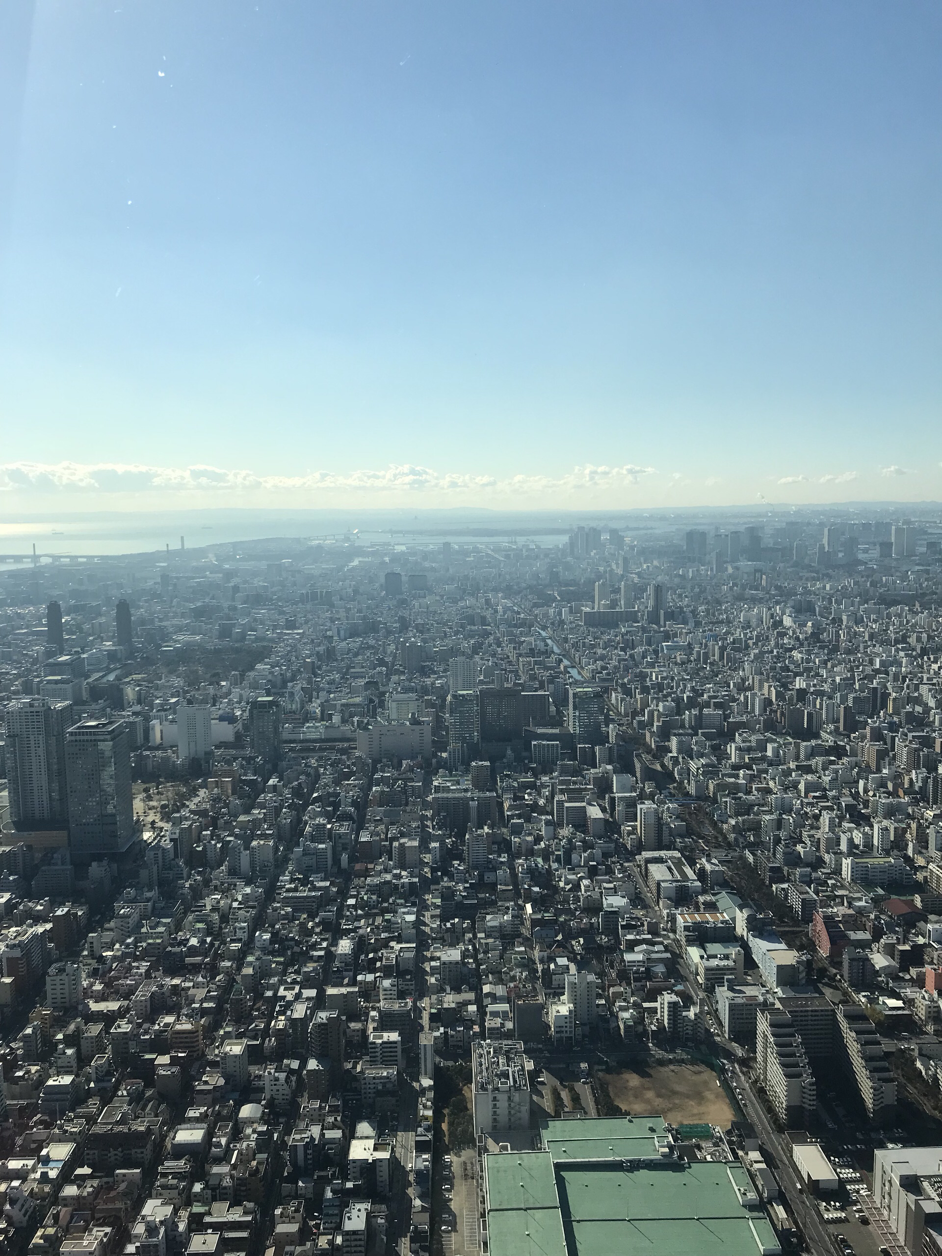 东京美食-Nikusobanarihira