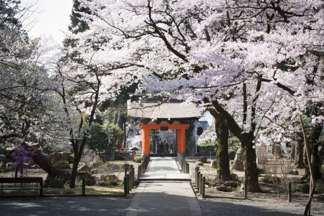 潜派旅行