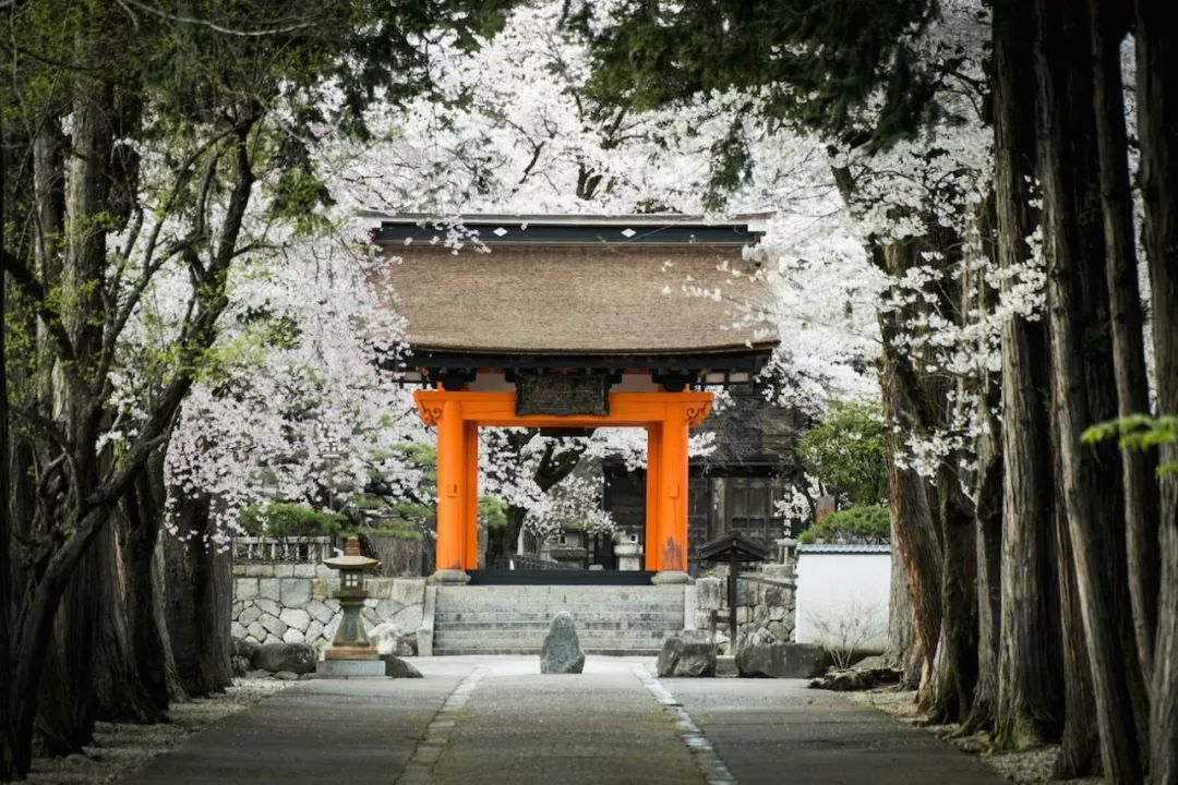 潜派旅行
