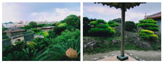 潜派旅行