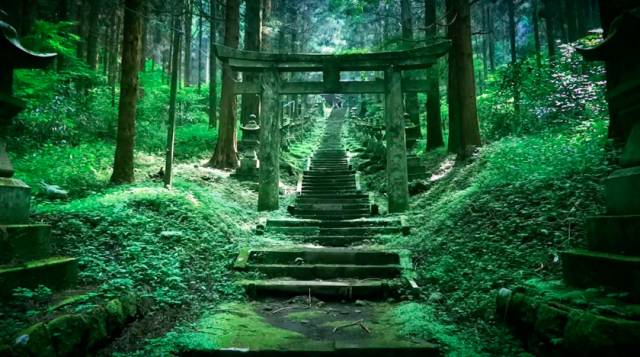 潜派旅行