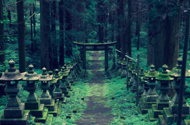 潜派旅行