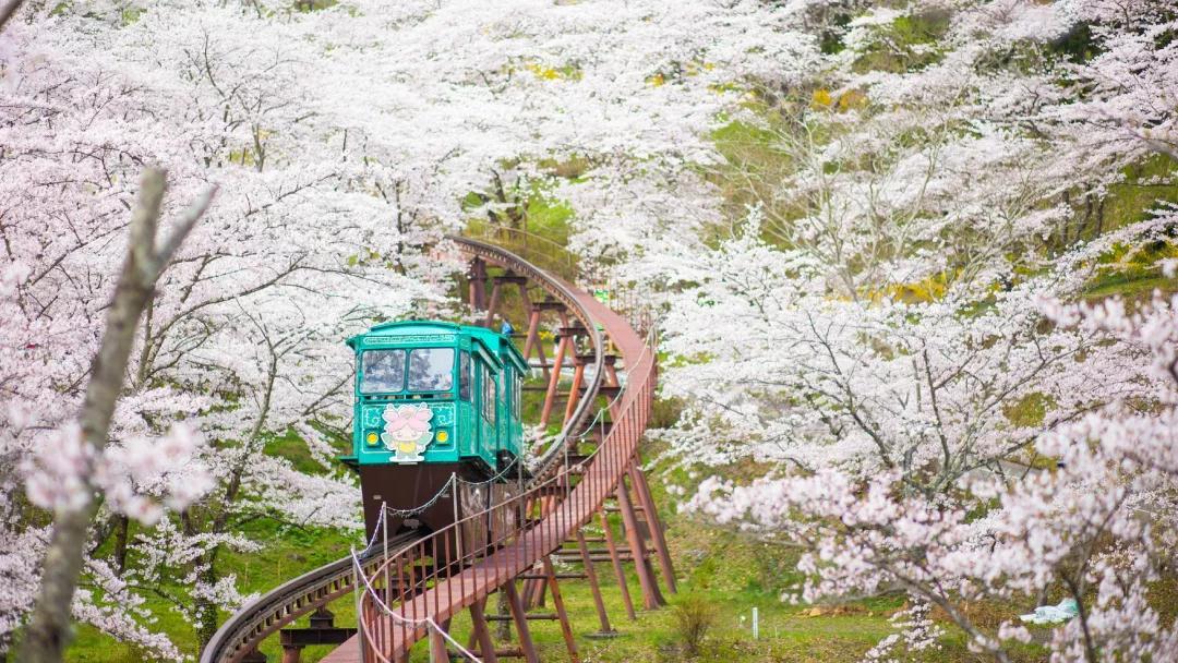 潜派旅行